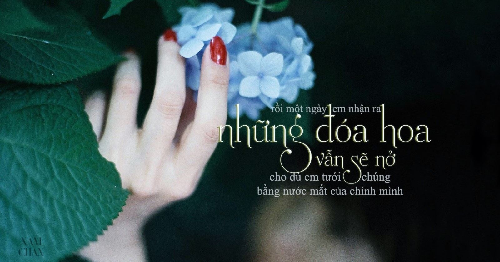 Đề số 1 - Chủ đề H&agrave;nh trang cuộc sống 